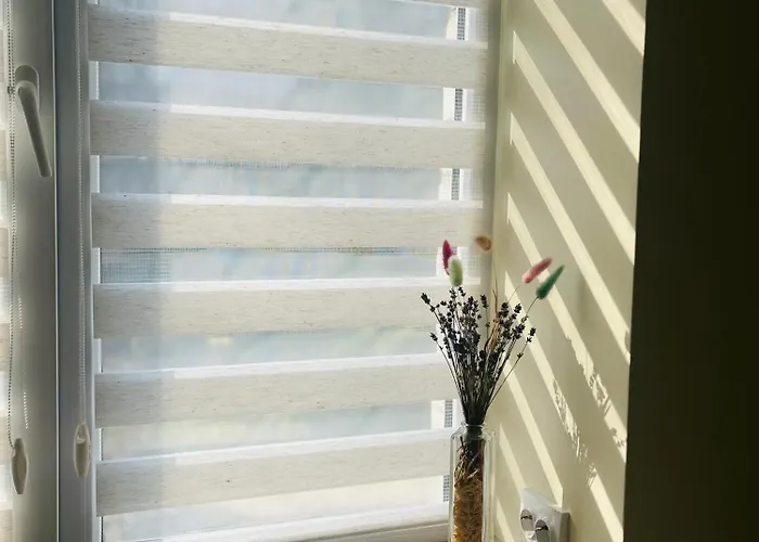 Apartamento поряд дорослої і дитячої лікарні біля миколайчука, орлика